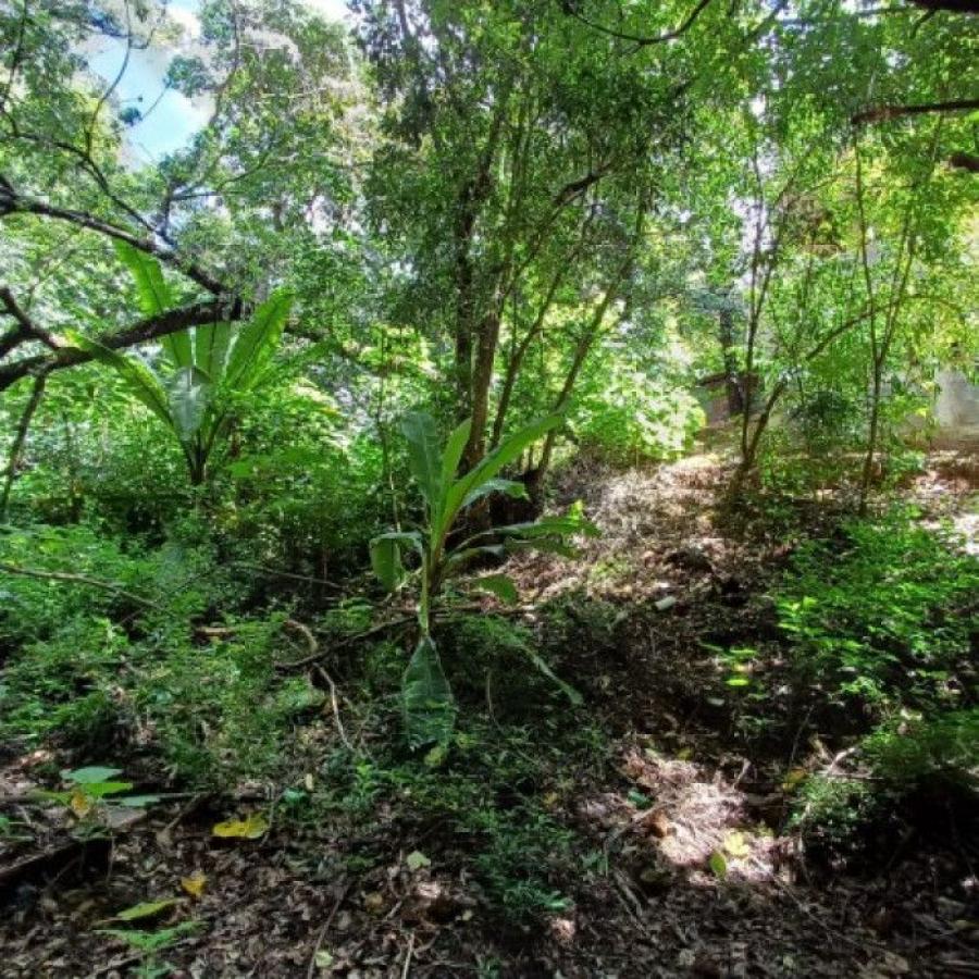 Foto Terreno en Venta en Zona 9, Mixco, Guatemala - Q 290.000 - TEV46921 - BienesOnLine