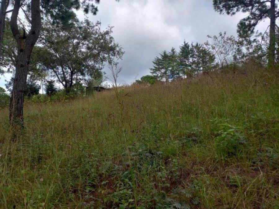 Foto Terreno en Venta en San Juan Sacatepquez, San Juan Sacatepequez, Guatemala - Q 350.000 - TEV44192 - BienesOnLine