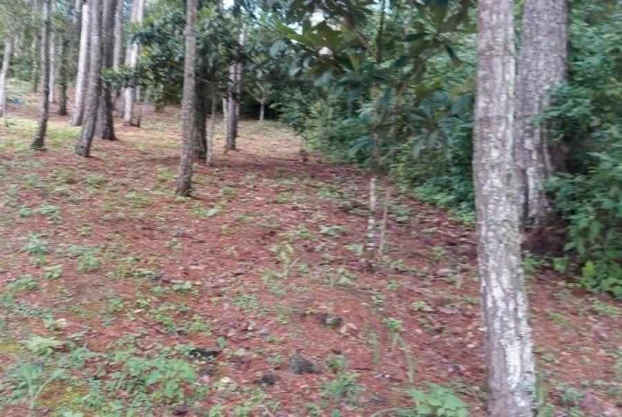 Foto Terreno en Venta en San Raymundo, San Raymundo, Guatemala - Q 380.000 - TEV44231 - BienesOnLine