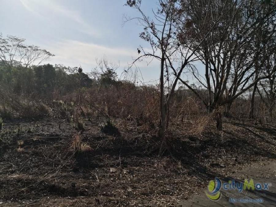 Foto Terreno en Venta en Masagua, Masagua, Escuintla - Q 30.000 - TEV44059 - BienesOnLine