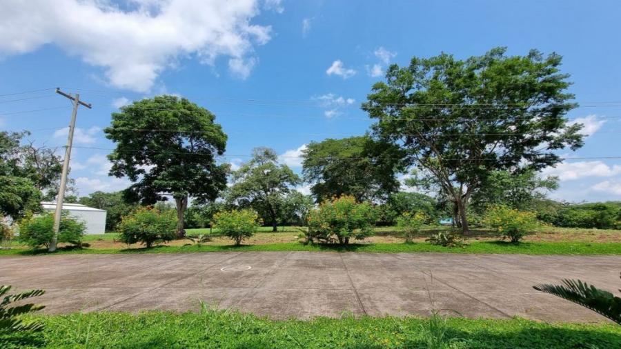 Foto Terreno en Venta en Escuintla, Escuintla - U$D 164.100 - TEV17702 - BienesOnLine