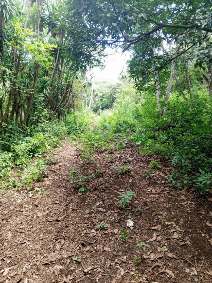 Foto Terreno en Venta en ALDEA DOLORES, Villa Canales, Guatemala - Q 35.000 - TEV47281 - BienesOnLine