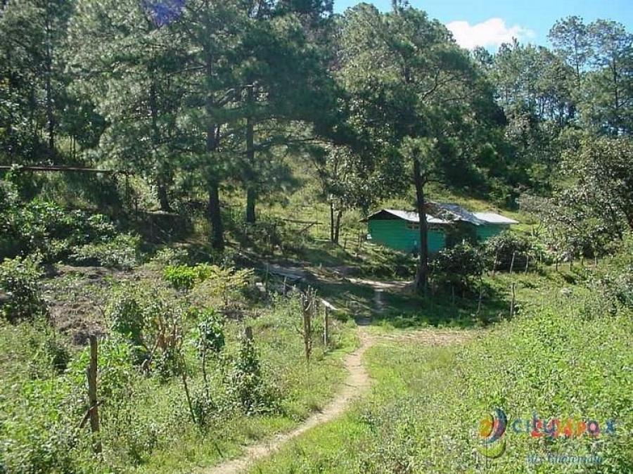 Foto Finca en Venta en San Pedro Ayampuc, San Pedro Ayampuc, Guatemala - U$D 589.000 - FIV43947 - BienesOnLine