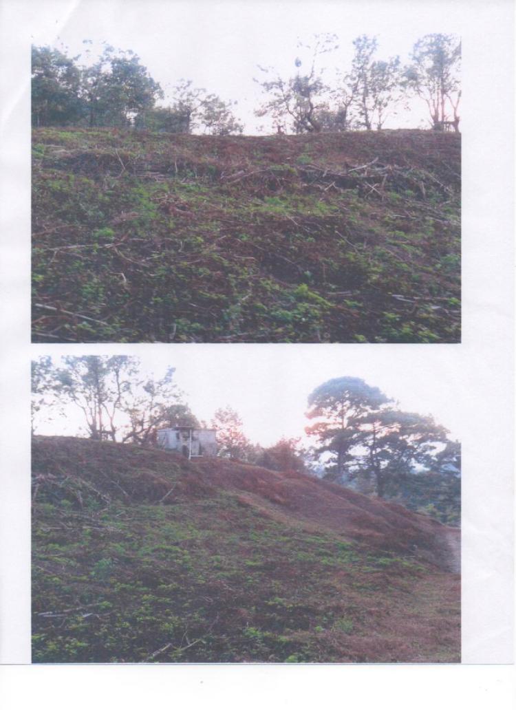 Foto Terreno en Venta en Fraijanes, Guatemala - U$D 60.000 - TEV498 - BienesOnLine