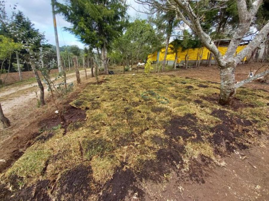 Foto Terreno en Venta en Fraijanes, Guatemala - Q 375.000 - TEV20576 - BienesOnLine