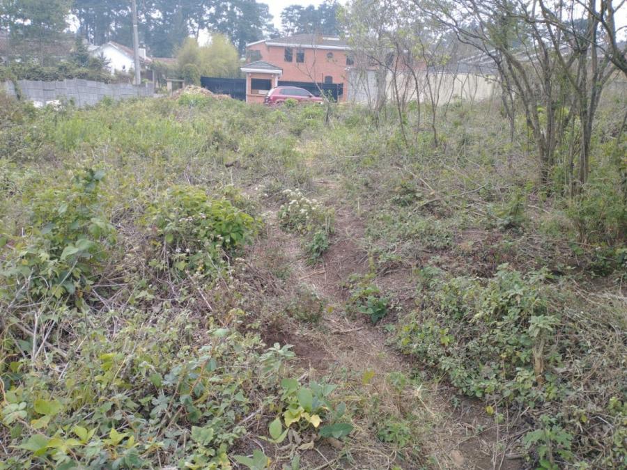 Foto Terreno en Venta en Lo de dieguez, Guatemala - Q 1.613.500 - TEV25028 - BienesOnLine