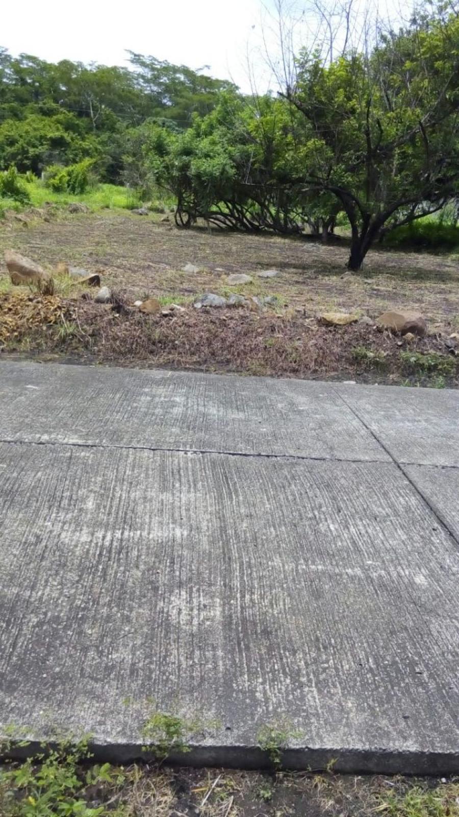 Foto Terreno en Venta en Masagua, Escuintla - Q 40.000 - TEV11057 - BienesOnLine