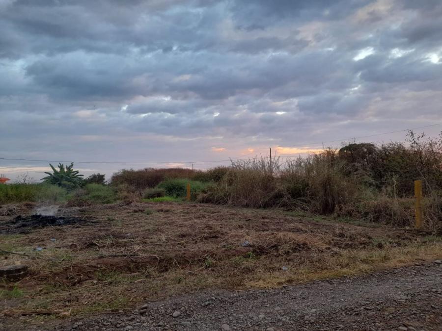 Foto Terreno en Venta en Chiquimulilla, Santa Rosa - Q 205.000 - TEV31920 - BienesOnLine