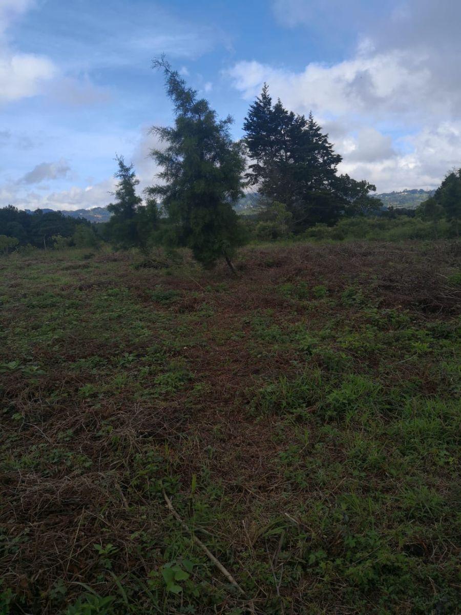 Foto Terreno en Venta en San José Pinula, Guatemala - Q 53.000 - TEV15815 - BienesOnLine