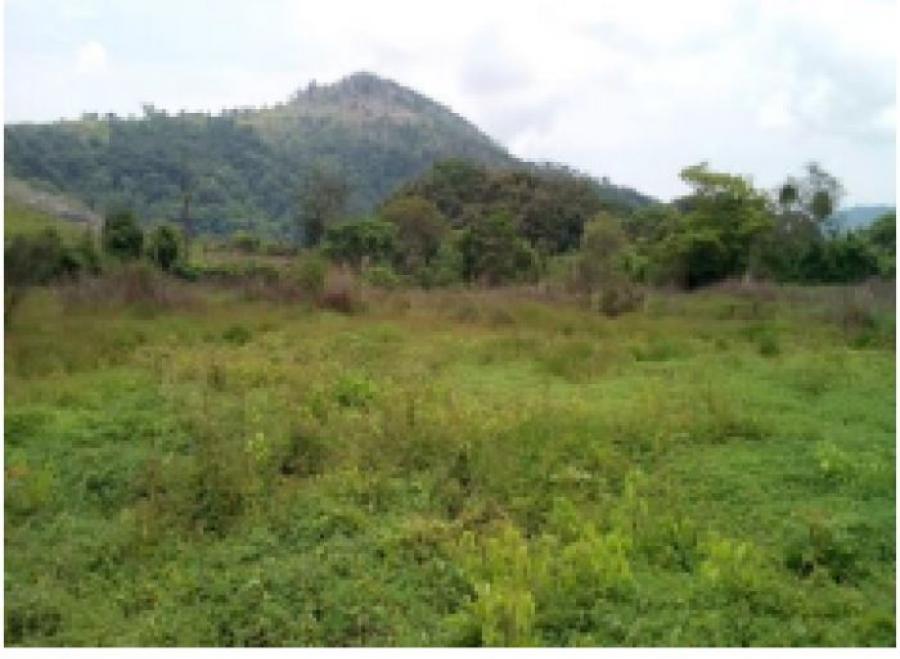 Foto Terreno en Venta en Zona 18, Guatemala - Q 1.376.026 - TEV33691 - BienesOnLine