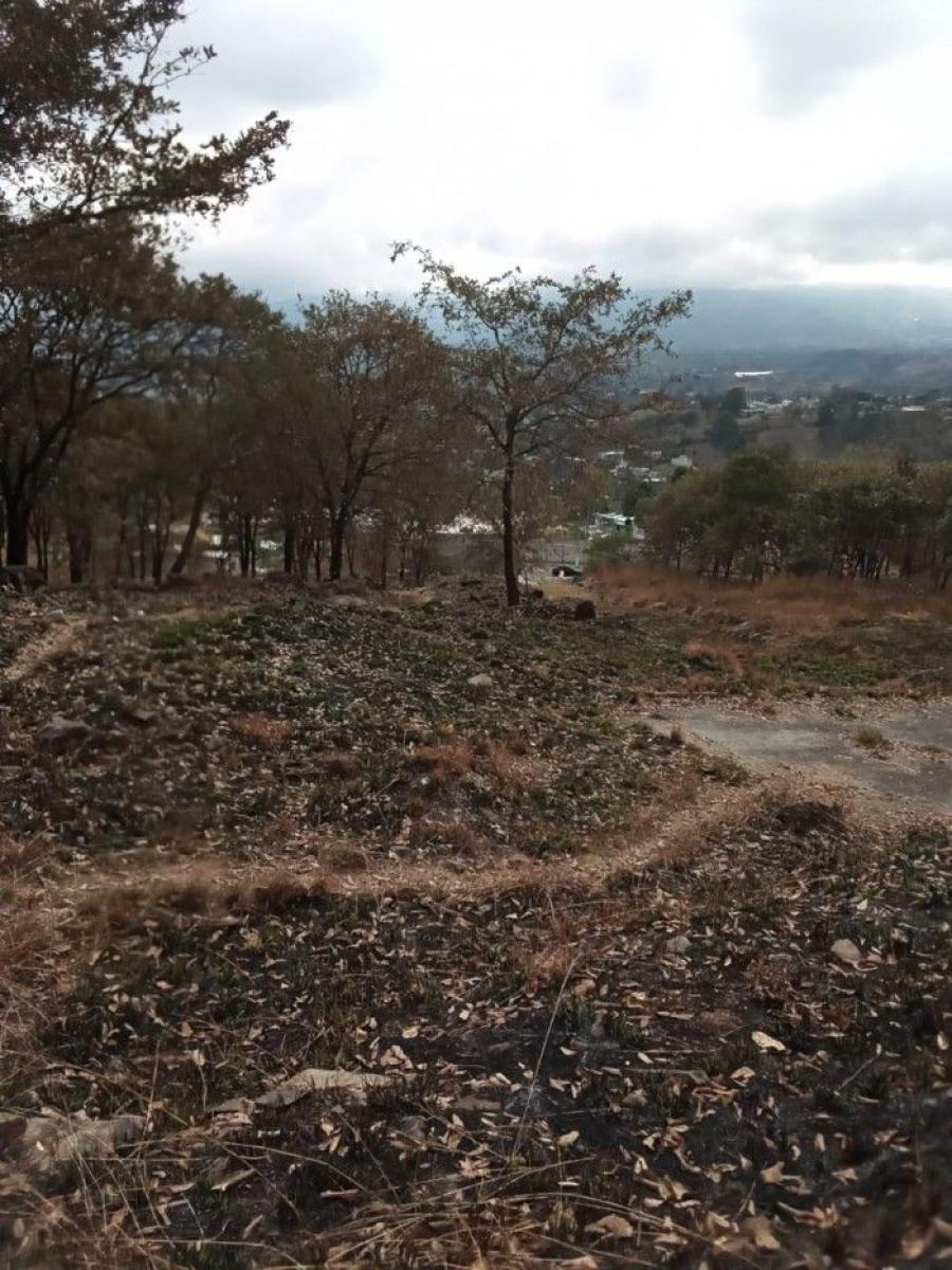 Foto Terreno en Venta en Palencia, Palencia, Guatemala - Q 8.500.000 - TEV45132 - BienesOnLine