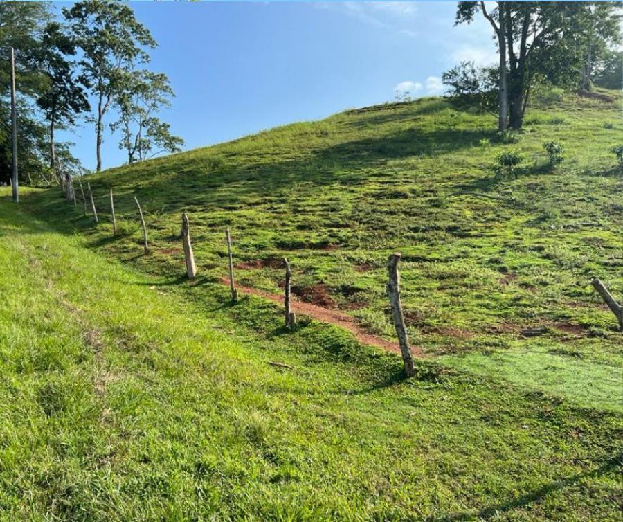 LOTE DE TERRENO EN RESIDENCIAL EL NARANJAL, PUERTO CORTÉS 