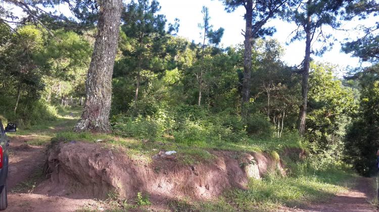 Terrenos en Santa Lucia, Sabana del Lolo, Francisco Morazan, Honduras