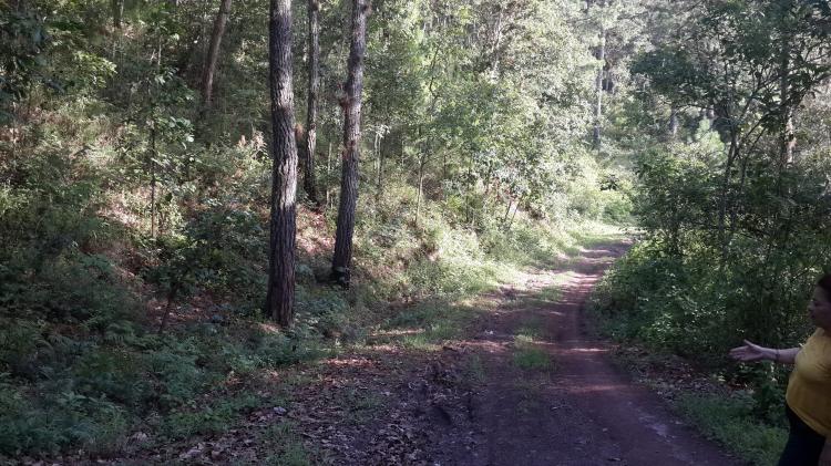 Terrenos en Santa Lucia, Sabanaa del Lolo, Francisco Morazan, Honduras