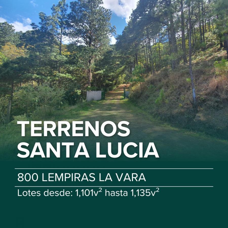 Foto Terreno en Venta en Santa Lucía, Francisco Morazán - $ 800 - TEV2756 - BienesOnLine