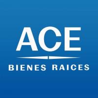 ACE BIENES RAICES