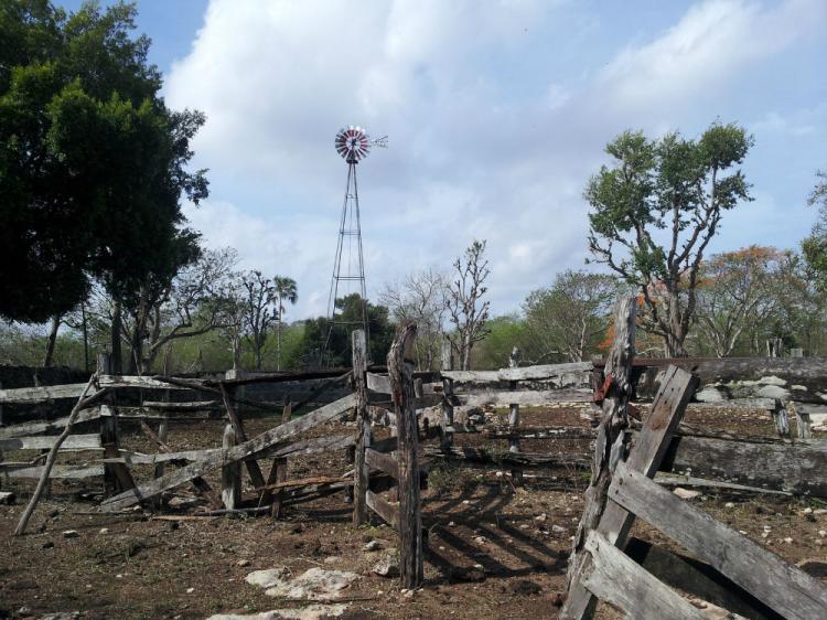 Venta de Terreno en CACALCHEN. ¡OPORTUNIDAD UNICA, EXCELENTE UBICACIÓN, CERCA DE MERIDA