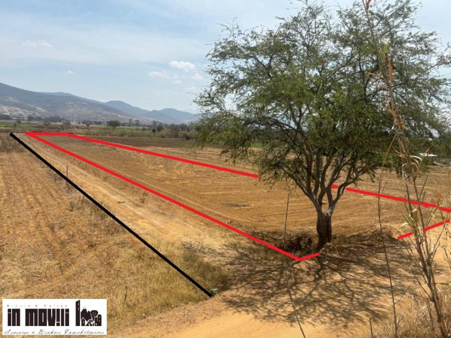 Foto Terreno en Venta en SAN ISIDRO MONJAS, Santa Cruz Xoxocotlán, Oaxaca - $ 230.000 - TEV355234 - BienesOnLine