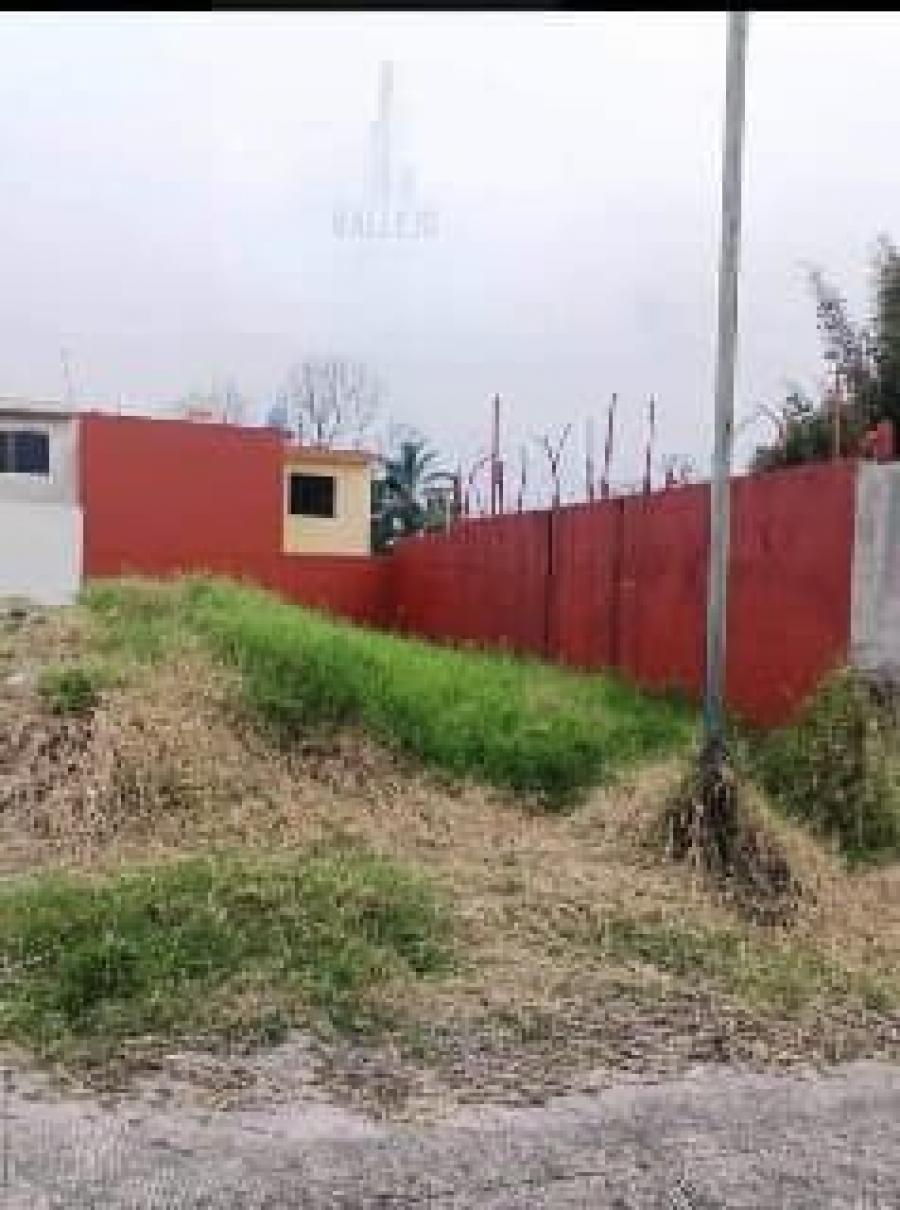 Foto Terreno en Venta en San Roman, Córdoba, Veracruz - $ 390.000 - TEV355982 - BienesOnLine