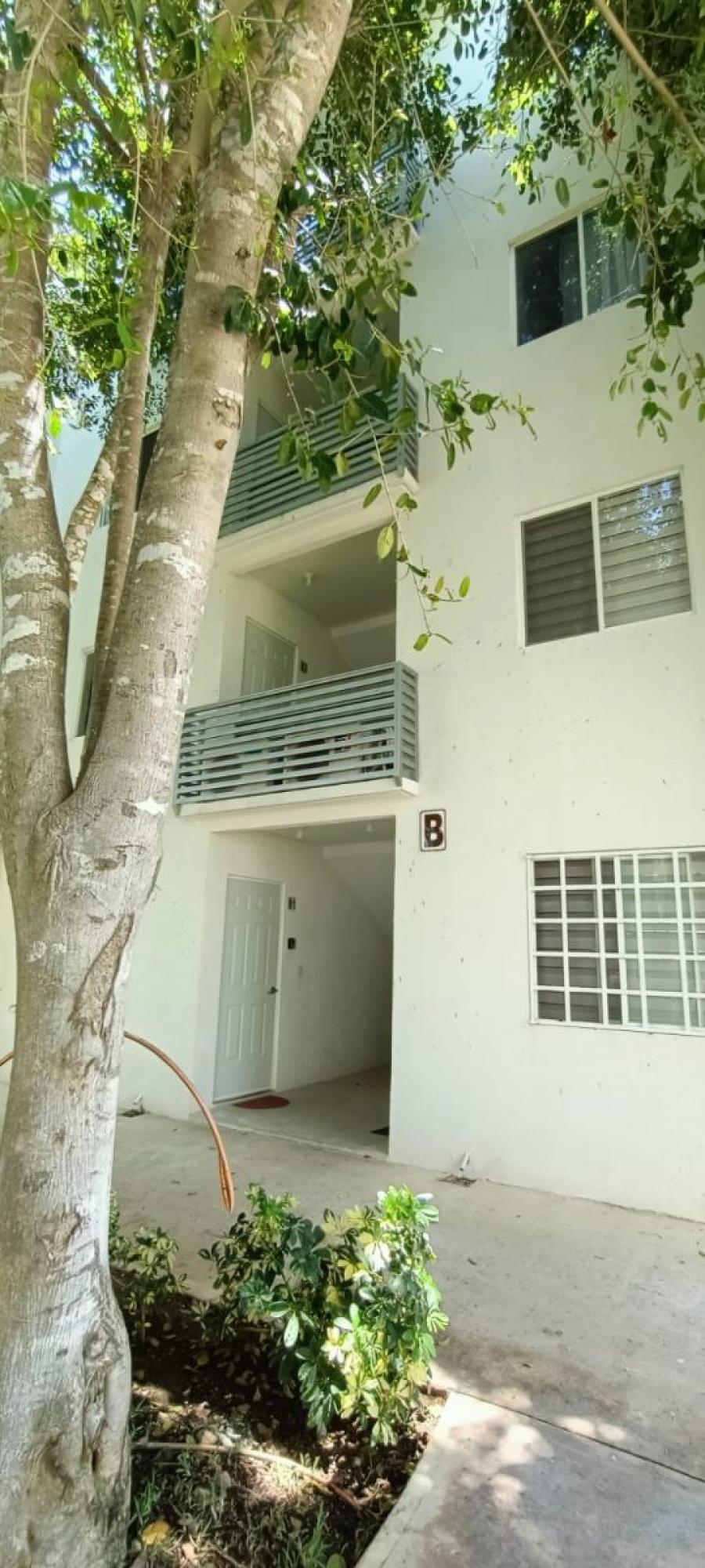 Foto Departamento en Renta en LOS OLIVOS II, Cancún, Quintana Roo - $ 12.000 - DER359391 - BienesOnLine