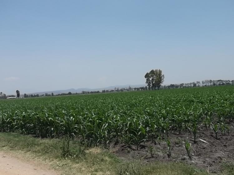 Foto Terreno en Venta en CALAMANDA, Santiago de Querétaro, Queretaro Arteaga - $ 7.700.000 - TEV57735 - BienesOnLine