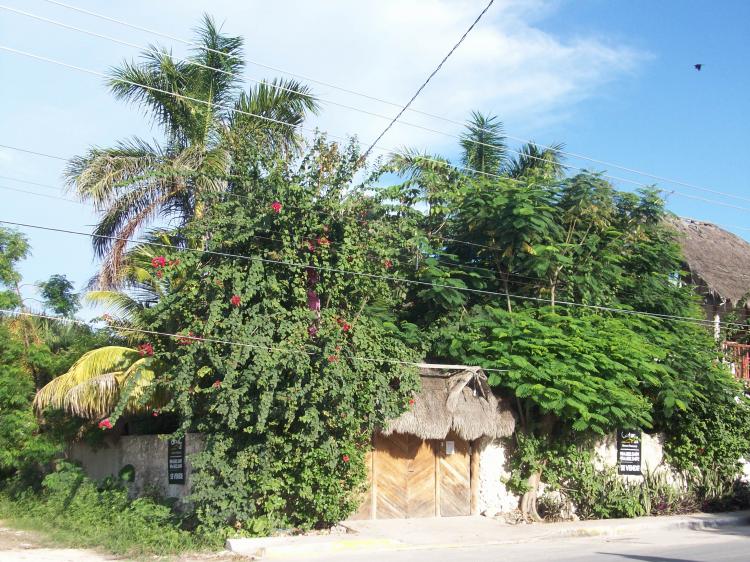 Foto Casa en Venta en Tulum, Quintana Roo - $ 4.900.000 - CAV20360 - BienesOnLine