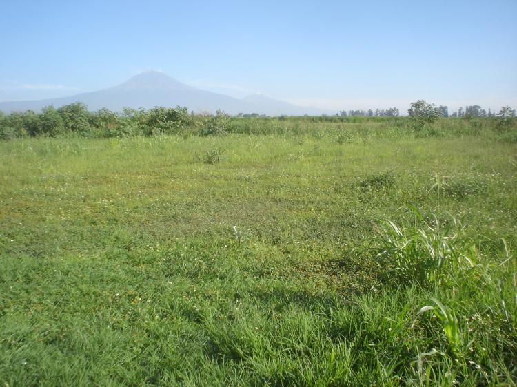 Terreno cerca de Balneario Las Fajanas