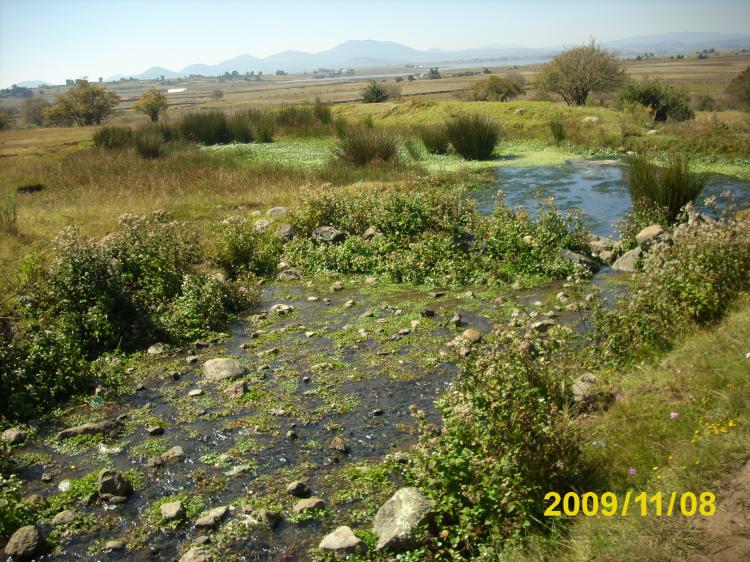 Bonito rancho con dos manantiales consecion y todos sus papeles en regla. Ranch for sale