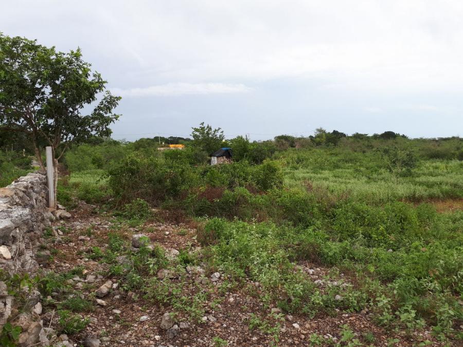 Foto Terreno en Venta en IXMATKUIL, Mérida, Yucatan - 5 hectareas - $ 1.375.000 - TEV279128 - BienesOnLine