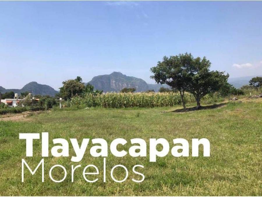 Foto Terreno en Venta en Residencial Asunción, Tlayacapan, Morelos - $ 462.925 - TEV358332 - BienesOnLine