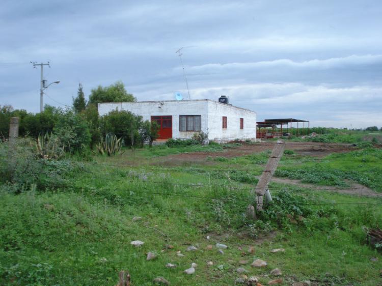 Foto Granja en Venta en cominidad franciso sarabia, El Llano, Aguascalientes - $ 1.000.000 - GRV67220 - BienesOnLine