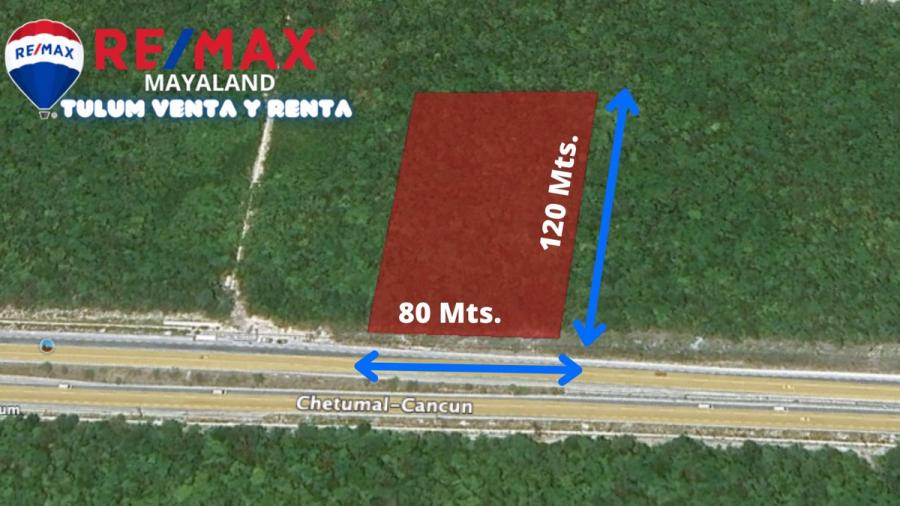 Terreno en Venta en centro Tulum, Quintana Roo