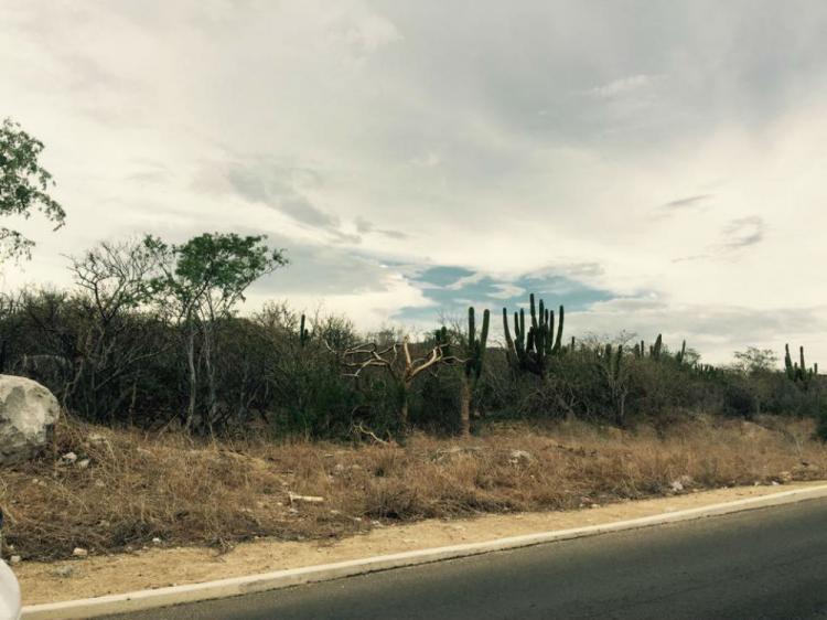 Foto Terreno en Venta en Cabo San Lucas, Baja California Sur - 3 hectareas - U$D 125 - TEV175391 - BienesOnLine