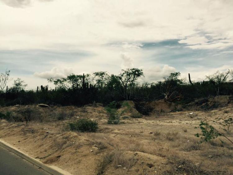 Foto Terreno en Venta en Cabo San Lucas, Baja California Sur - 3 hectareas - U$D 125 - TEV177533 - BienesOnLine