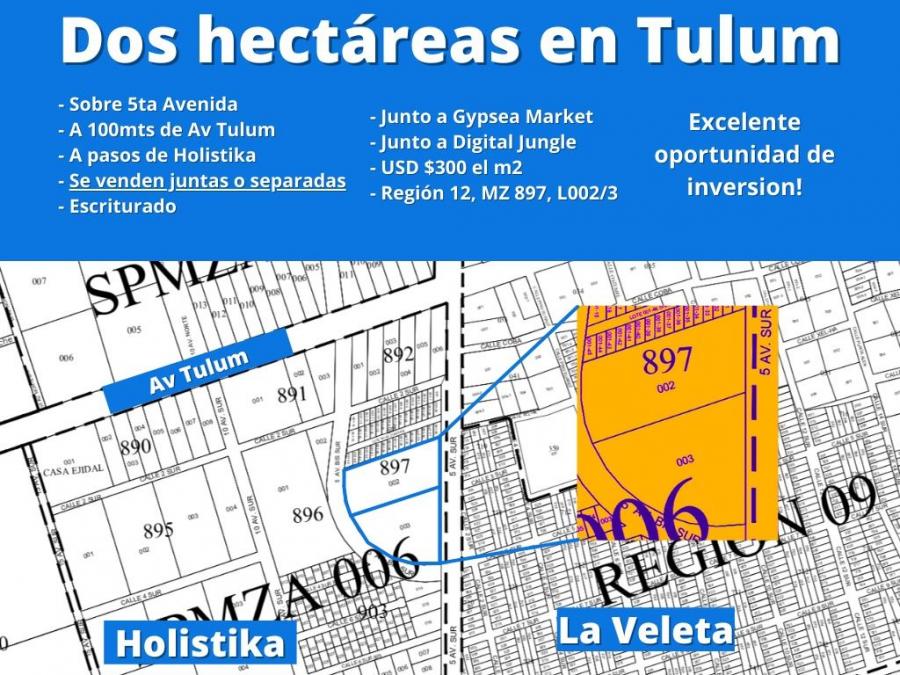 Foto Terreno en Venta en Tulum, Quintana Roo - $ 60.000 - TEV304541 - BienesOnLine