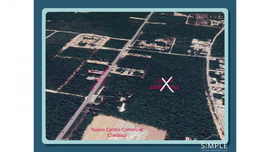 Foto Terreno en Venta en Tulum, Tulum, Quintana Roo - U$D 200 - TEV354878 - BienesOnLine