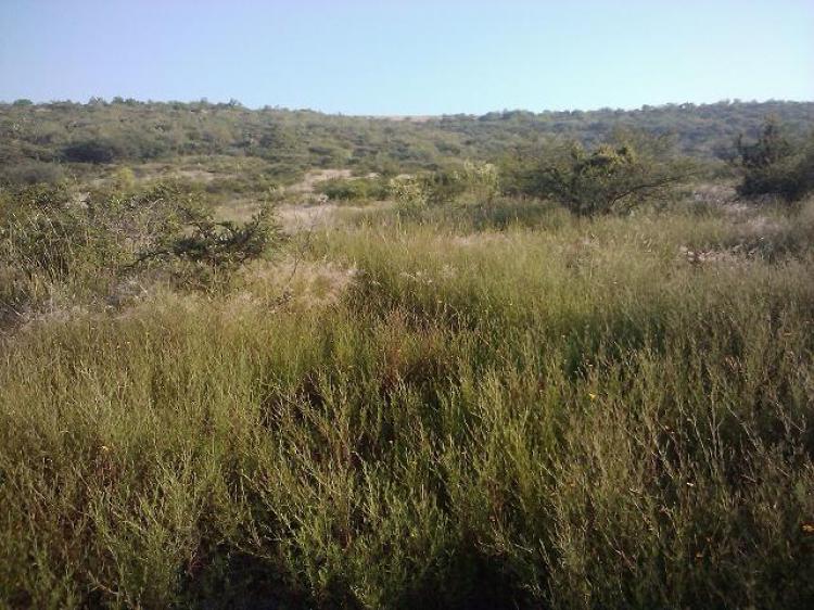 Foto Terreno en Venta en SALIDA A ZALAMANCA, Morelia, Michoacan de Ocampo - TEV30754 - BienesOnLine