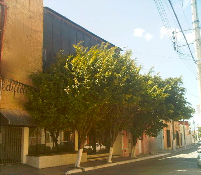 RENTA EDIFICIO CON OFICINAS  “HUANAL”