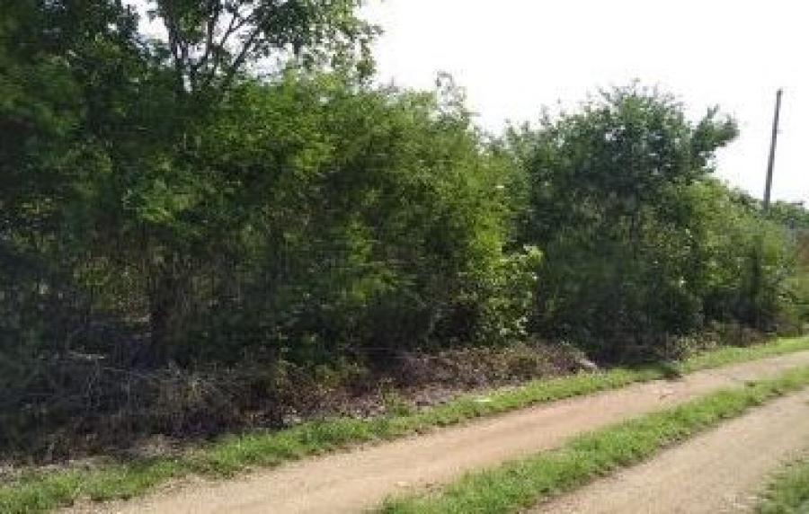 Foto Terreno en Venta en ITZINCAB, Umn, Yucatan - $ 128.000 - TEV304350 - BienesOnLine