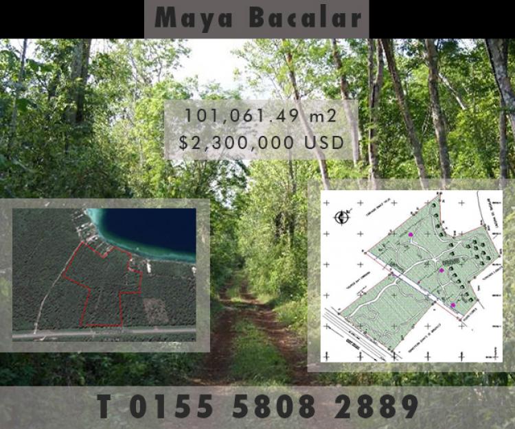 Propiedad con 101060m2 con Playa Bacalar