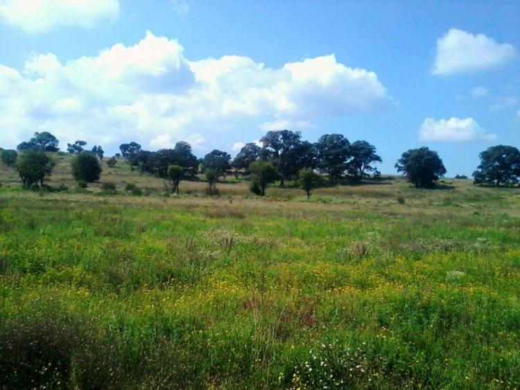 Rancho de 24.5 hectáreas en Aculco Estado de México