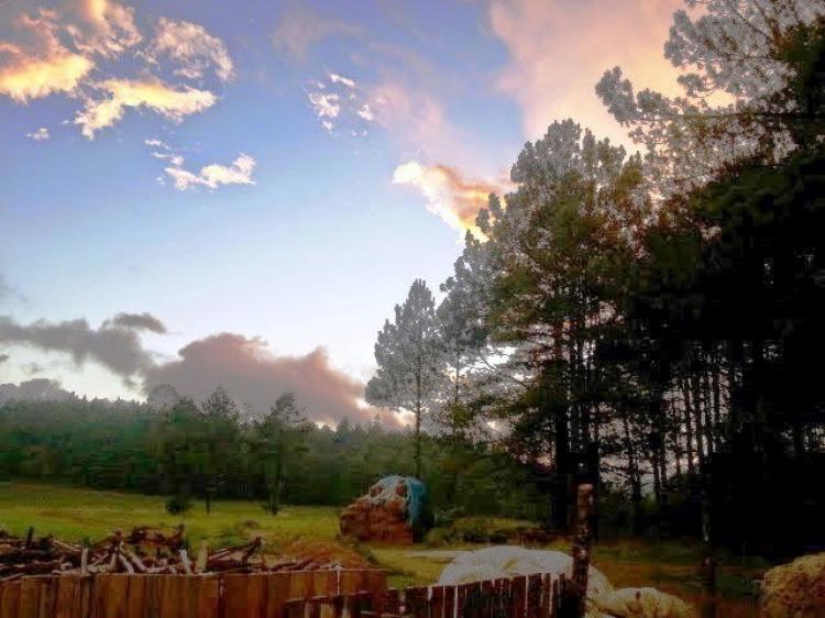 Rancho en Venta en Zacatlán de las Manzanas.