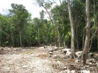 Terreno en Venta en Ruta de los cenotes Puerto Morelos