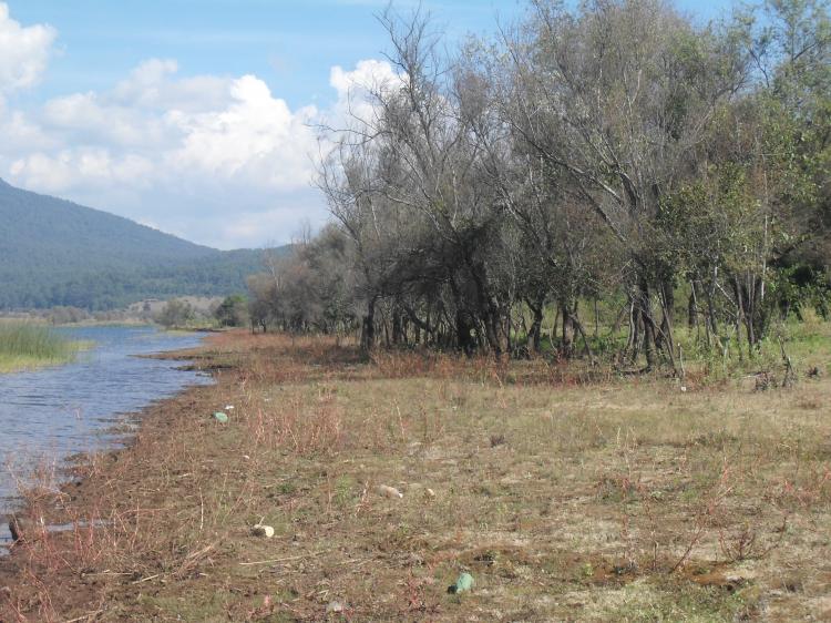 terreno en la orilla del lago de zirahuen michoacan ideal para un desarrollo ecoturistico