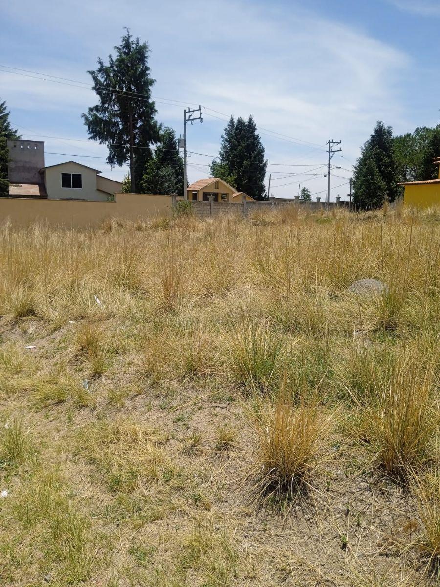 Foto Terreno en Venta en EL REFUGIO, Toluca de Lerdo, Mexico - $ 1.170.000 - TEV355271 - BienesOnLine