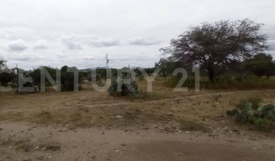 Foto Terreno en Venta en perote, Perote, Veracruz - $ 904.000 - TEV354326 - BienesOnLine