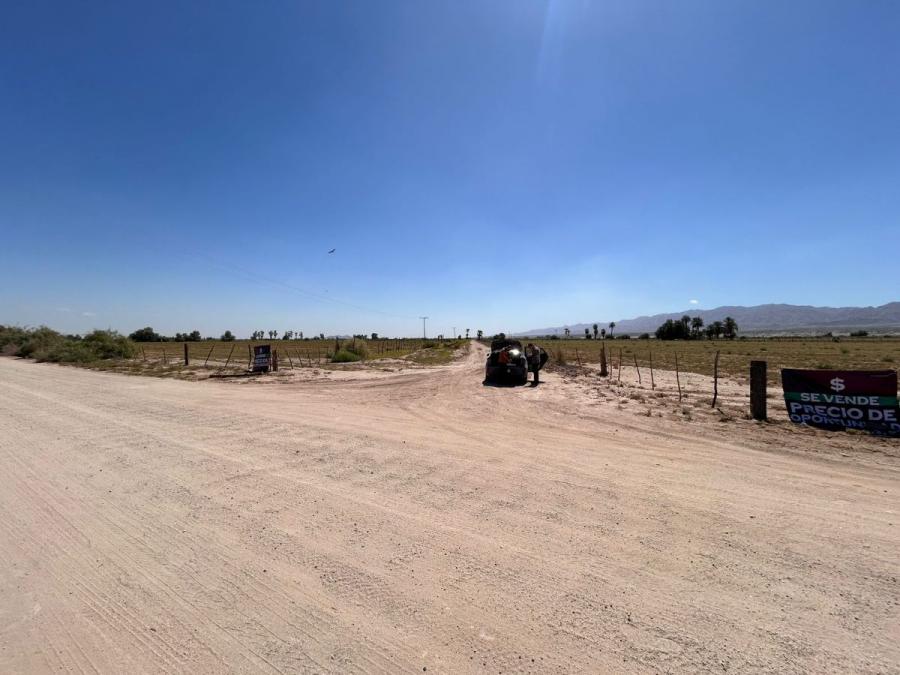 Foto Terreno en Venta en Cerro Prieto ll, Mexicali, Baja California - 11 hectareas - $ 5.500.000 - TEV352550 - BienesOnLine