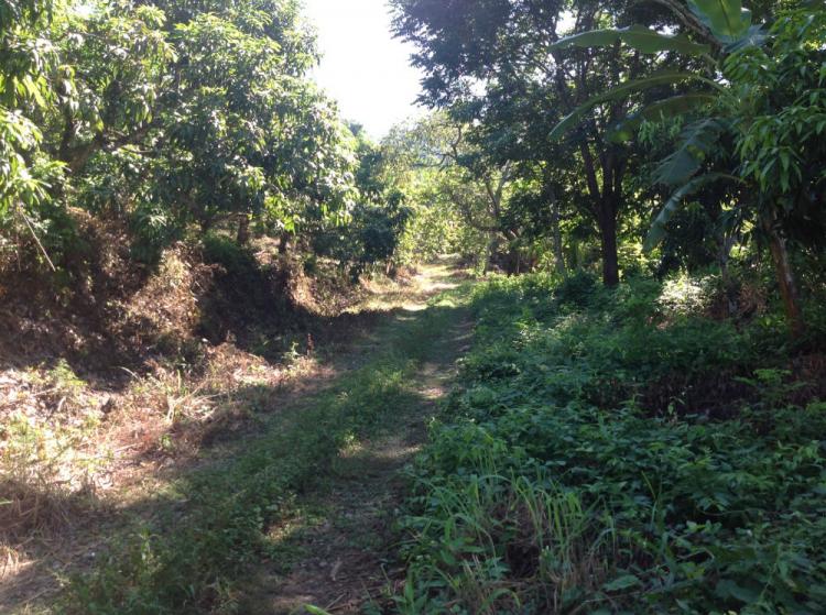 Foto Terreno en Venta en el ranchito, Puerto Vallarta, Jalisco - $ 190 - TEV200848 - BienesOnLine