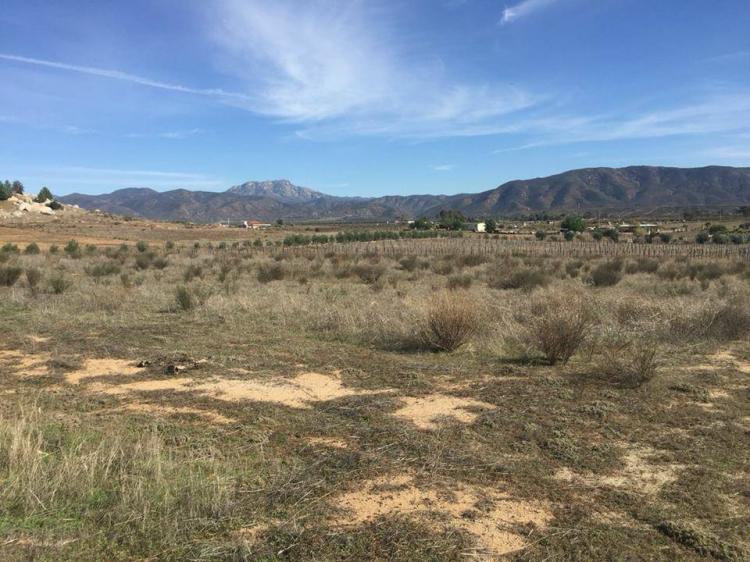 Foto Terreno en Venta en EL VALLE DE GUADALUPE, EL VALLE DE GUADALUPE, Baja California - 6 hectareas - U$D 810.000 - TEV225546 - BienesOnLine