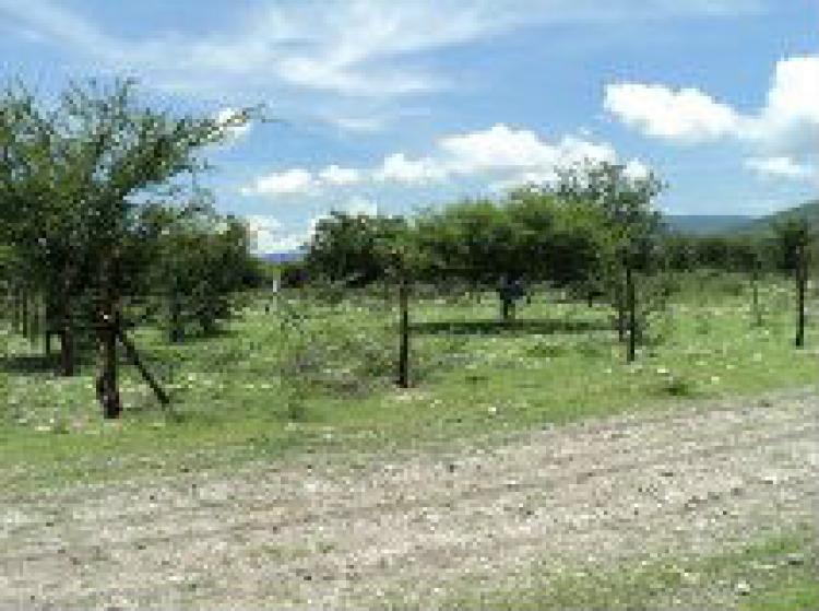 Foto Terreno en Venta en barranca honda, Tlaltizapn, Morelos - $ 65.000 - TEV125232 - BienesOnLine